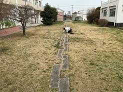 ブロックの間に生えた余分な芝生を手入れしています