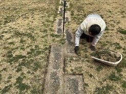 なかなか手間のかかる作業です