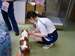 動物病院